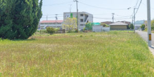 �V�z�p�n�̔��拭��