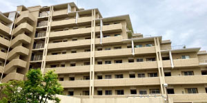 ���Ã}���V�����̔��拭��