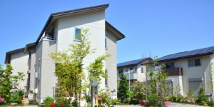 ��s�E����