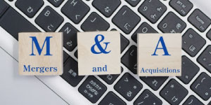 M&A�֘A�s���Y�E���Ǝ��Y